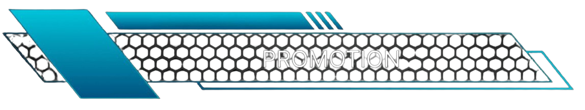 Logo Promo